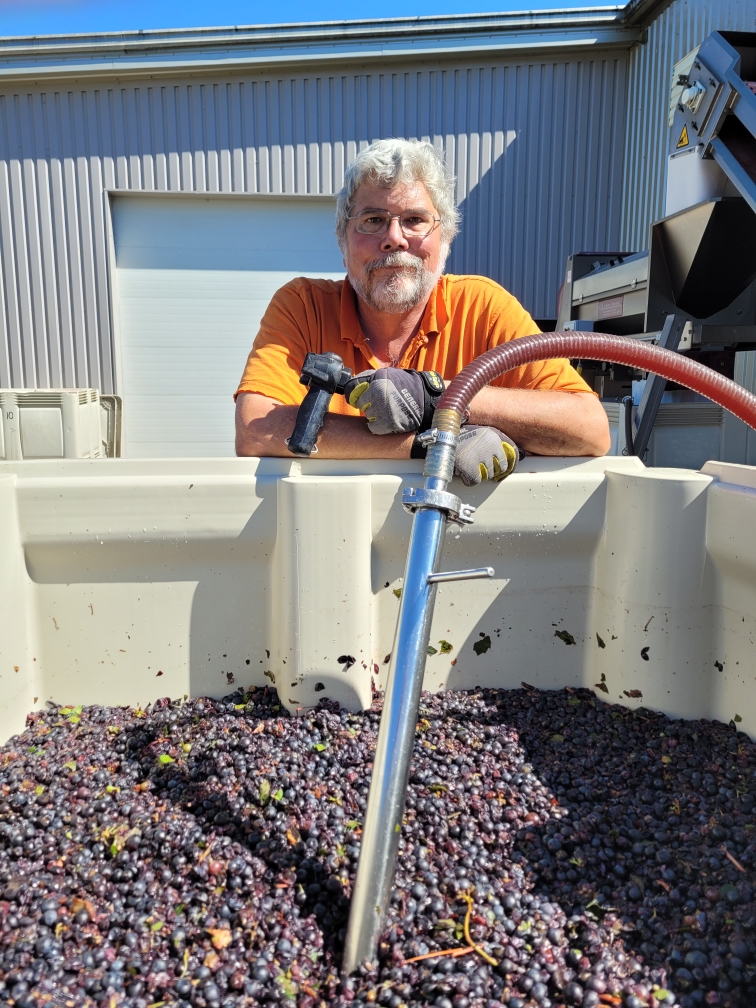 Man overseeing grape fermentation process in winemaking