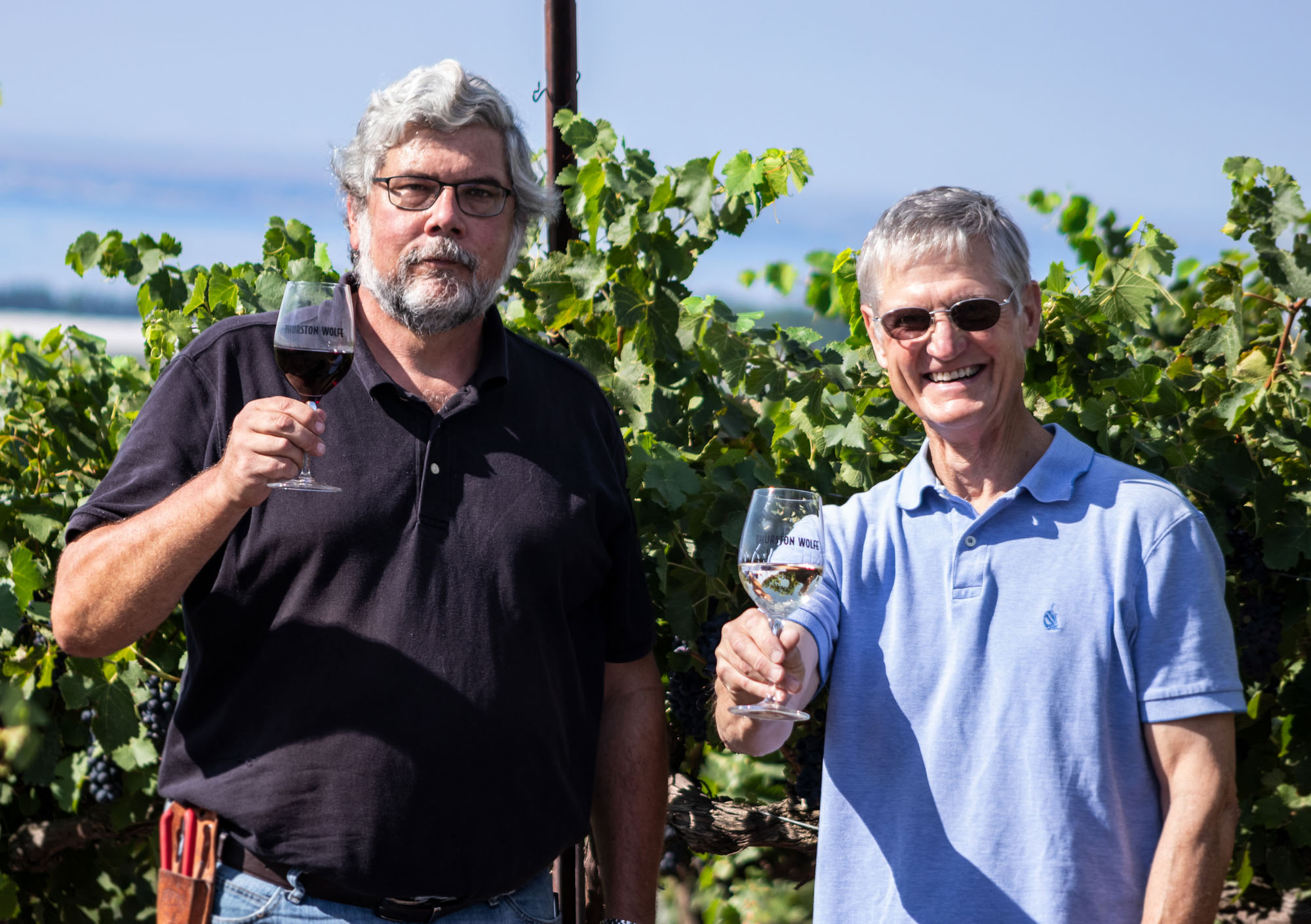 Two men toasting with wine in vineyard.