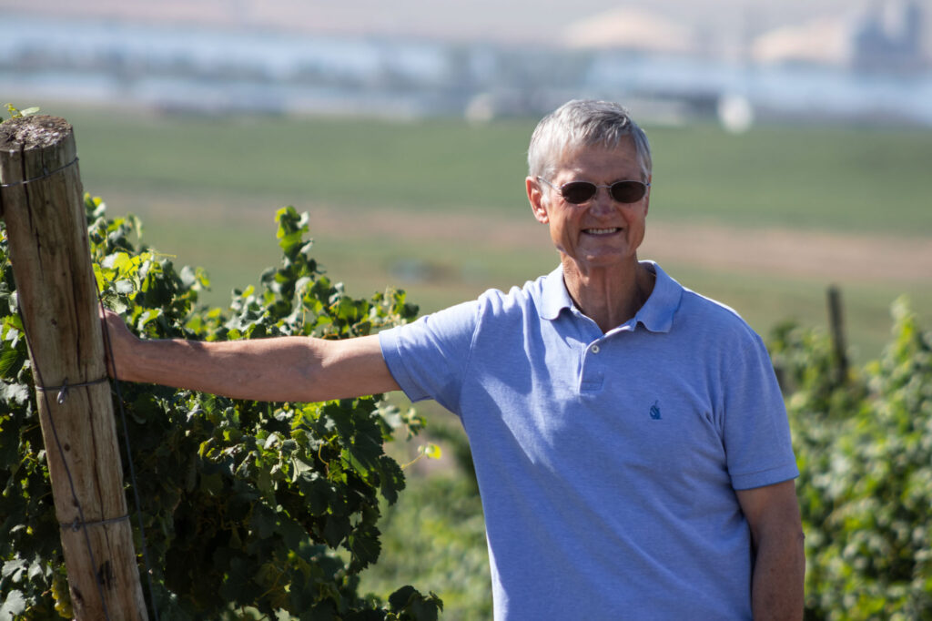 Smiling man in vineyard, sunny day
